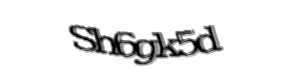 Security check image, please type the characters shown