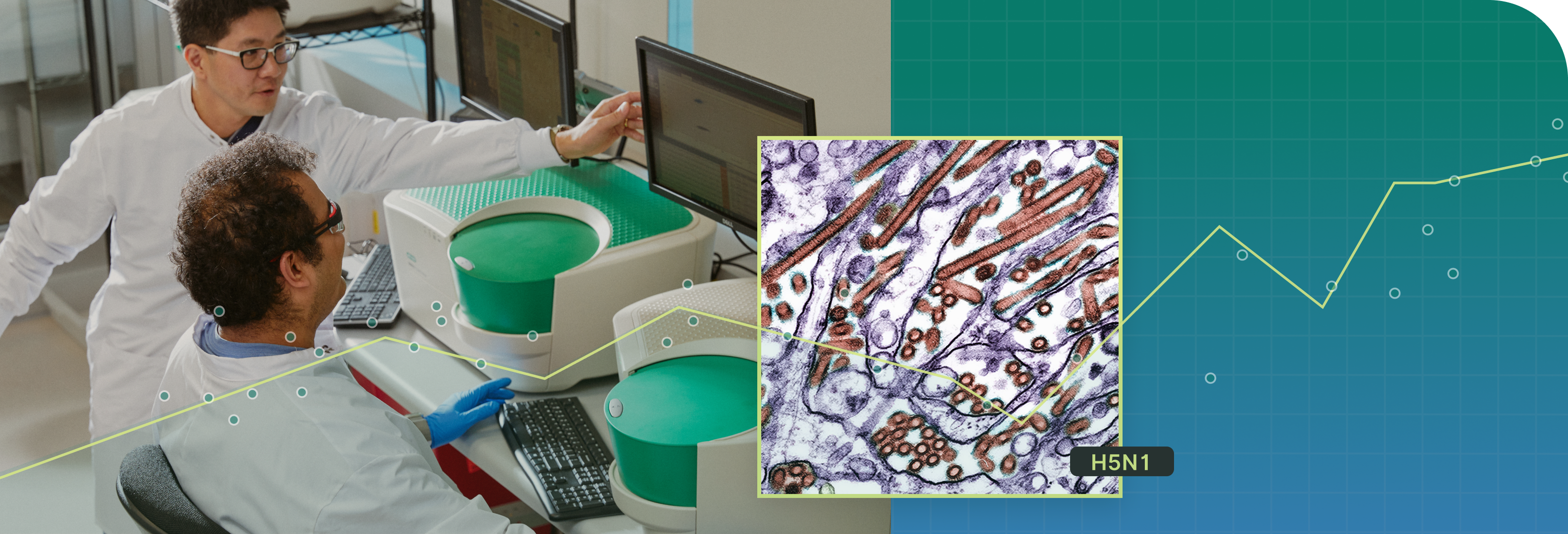 Collage of scientists assaying wastewater samples and a microscopic view of the H5N1 virus.