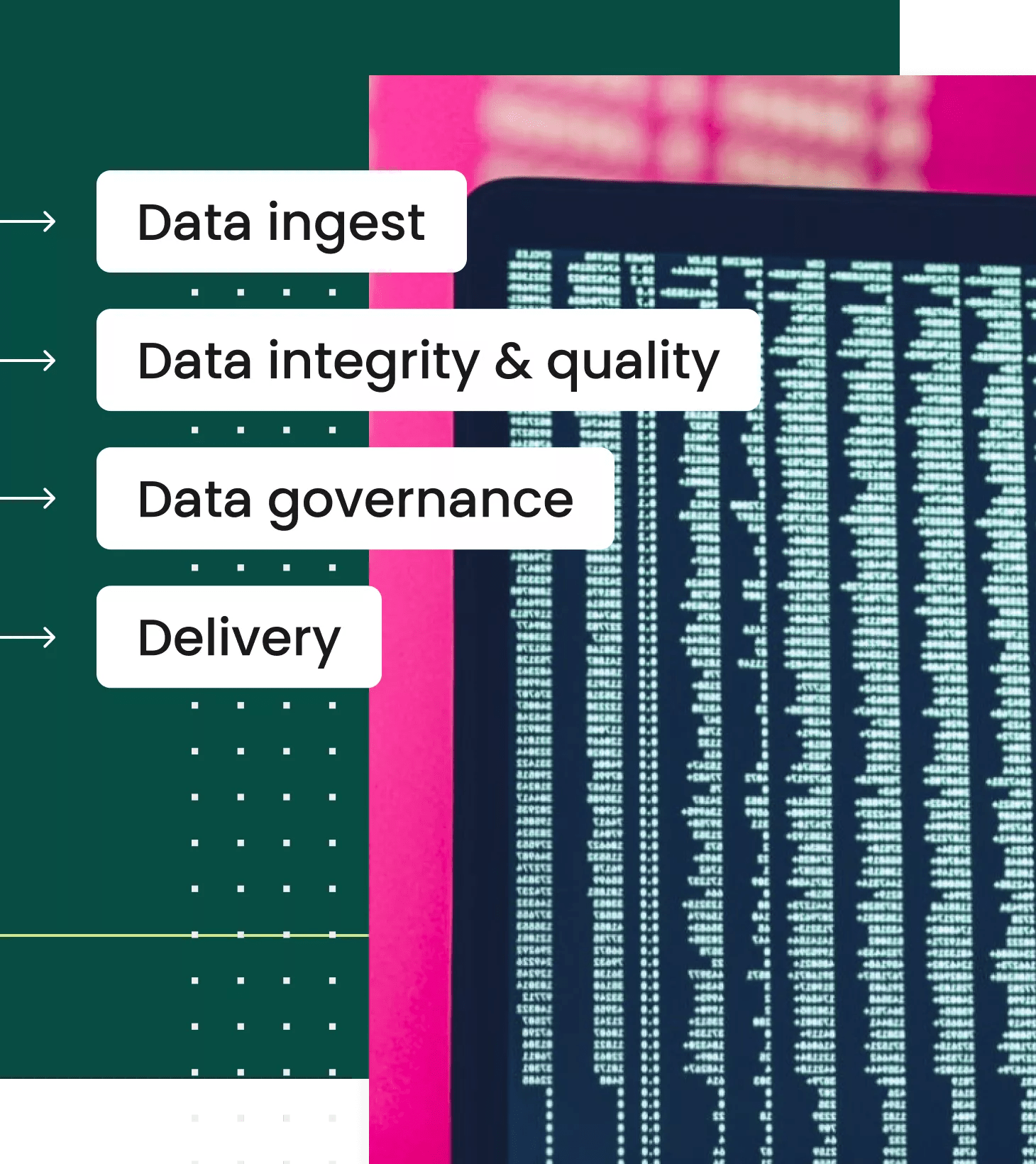data ingest,data integrity & equality,data governance,delivery