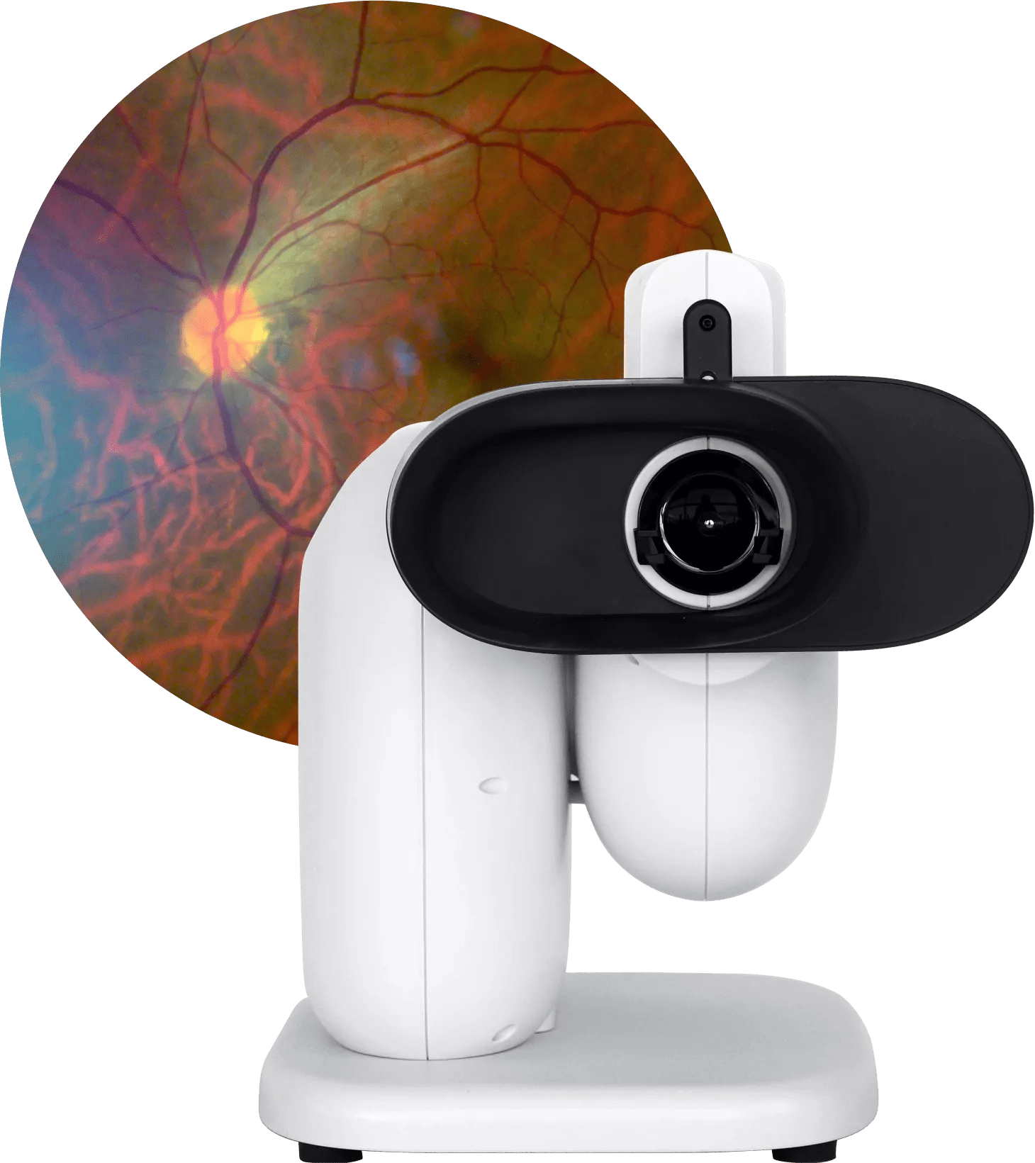 Retinal service camera and retina scan