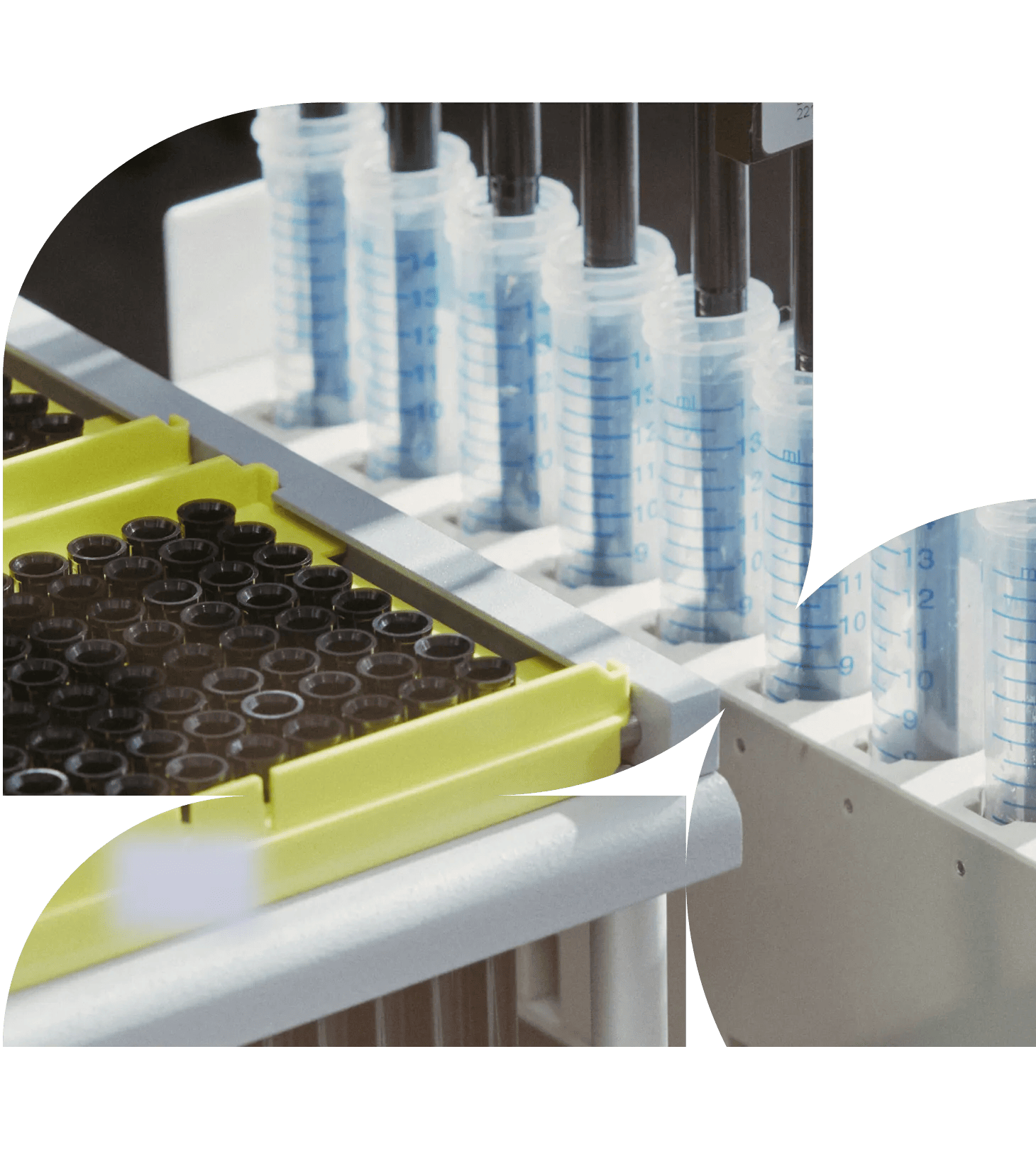 Close-up view of laboratory equipment featuring graduated plastic tubes and test tube trays on a graphic-framed black background.