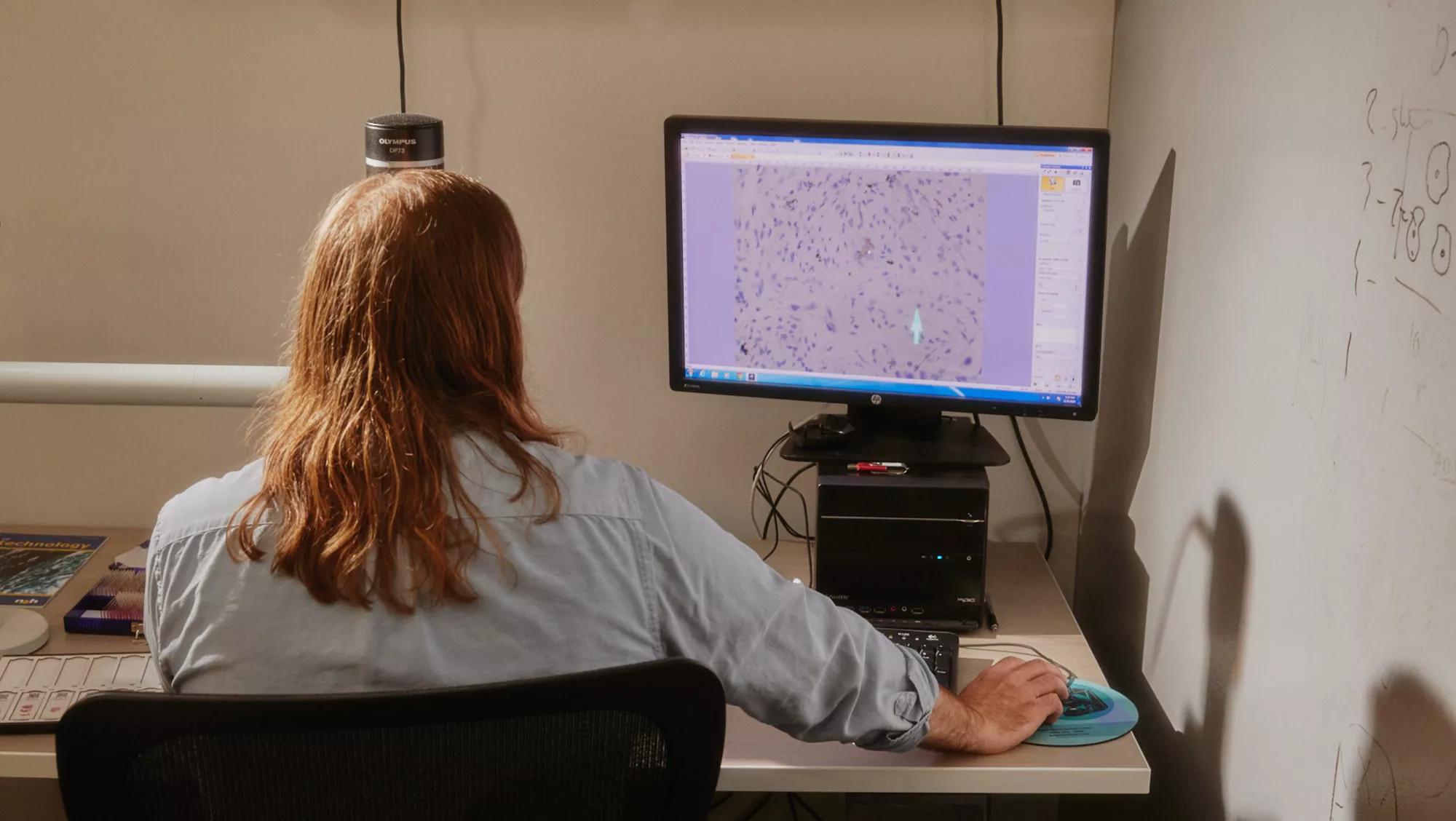 Verily scientist viewing a sample in the pathology lab