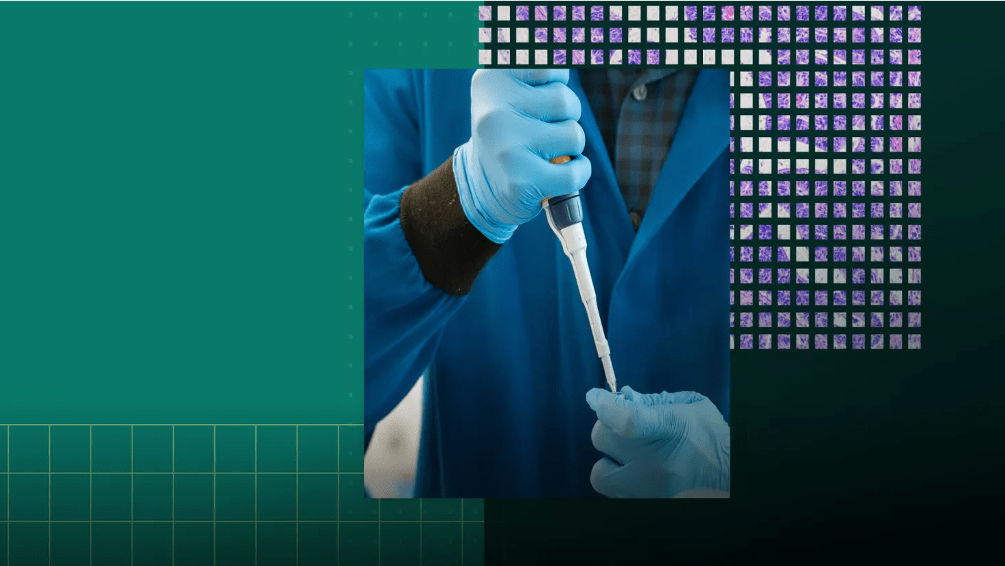 person in lab coat transferring samples