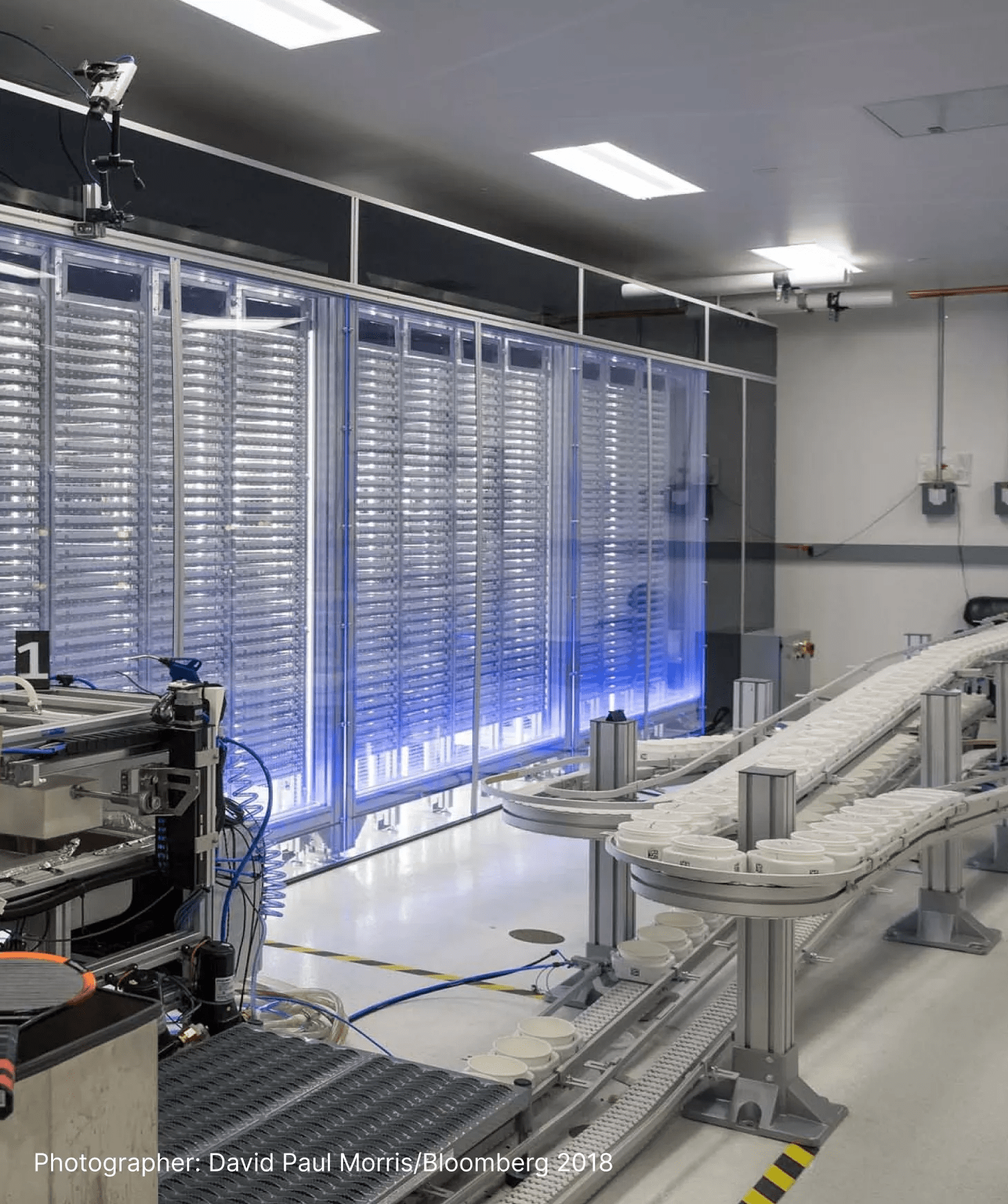 Inside the Debug mosquito lab