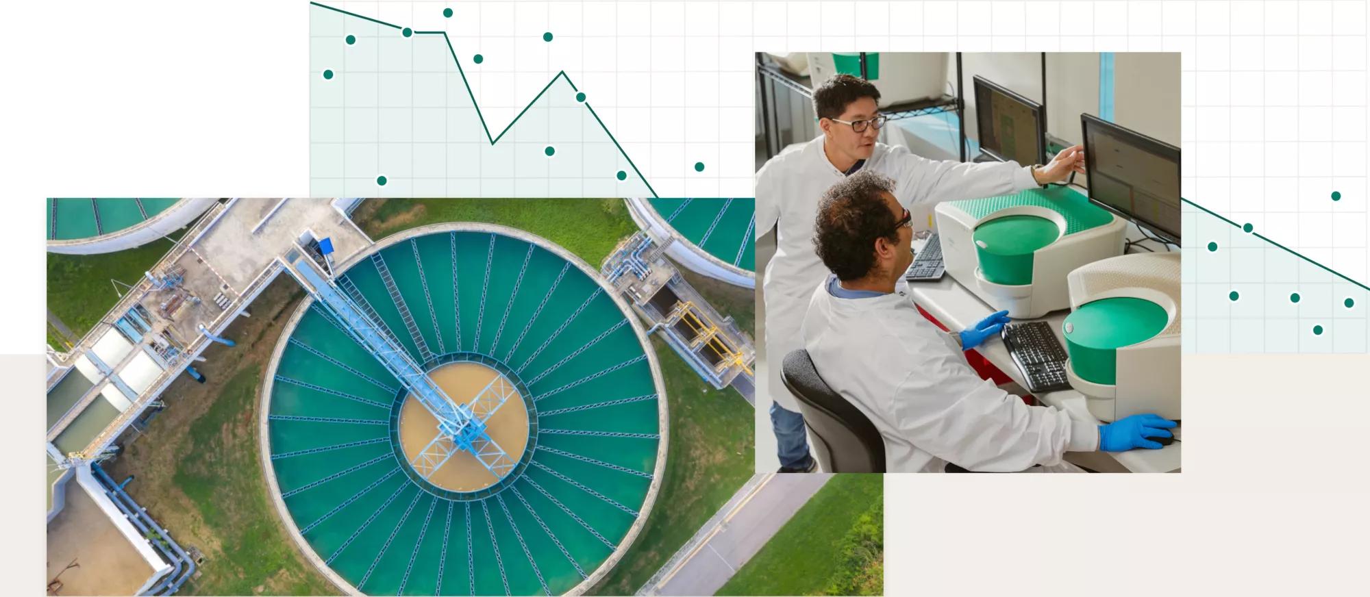 Collage of images depicting wastewater-based epidemiology laboratory science and lower trends in viral and fungal infectious-disease amongst communities.
