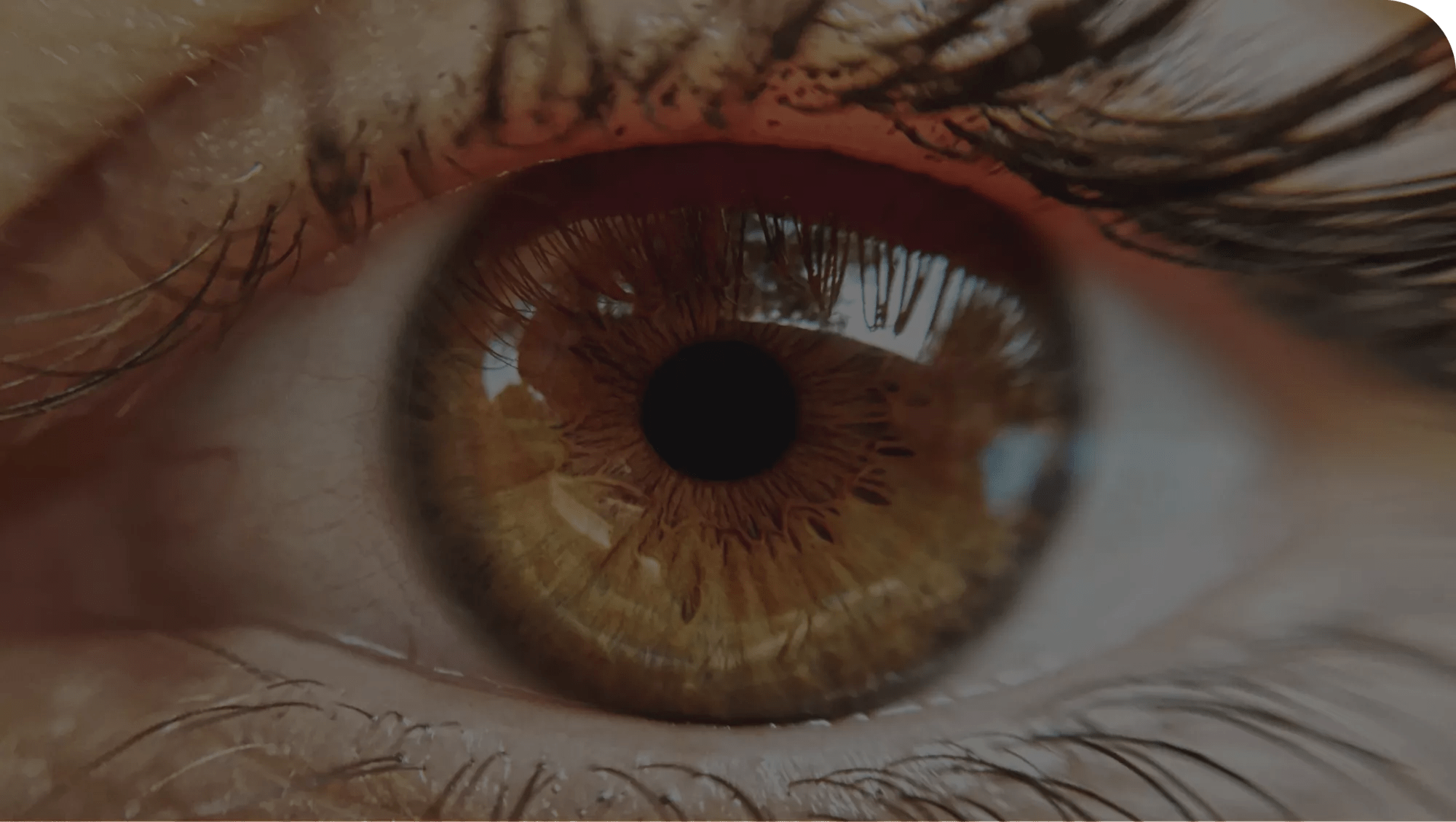 Close-up human eye
